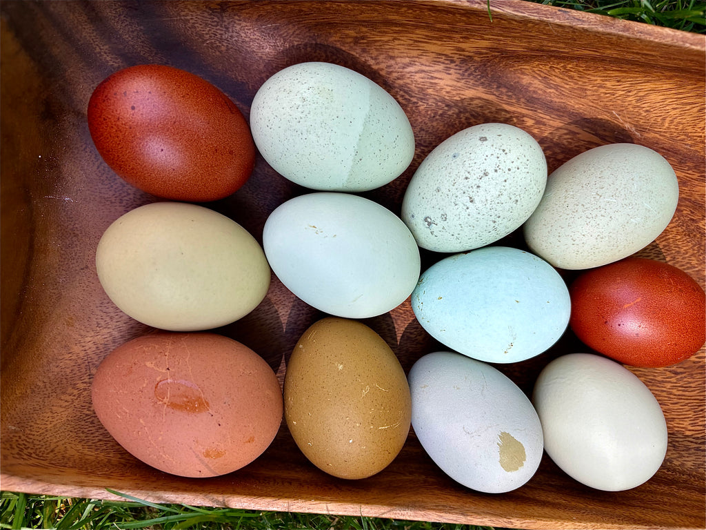 colorful hatching eggs on a wooden tray