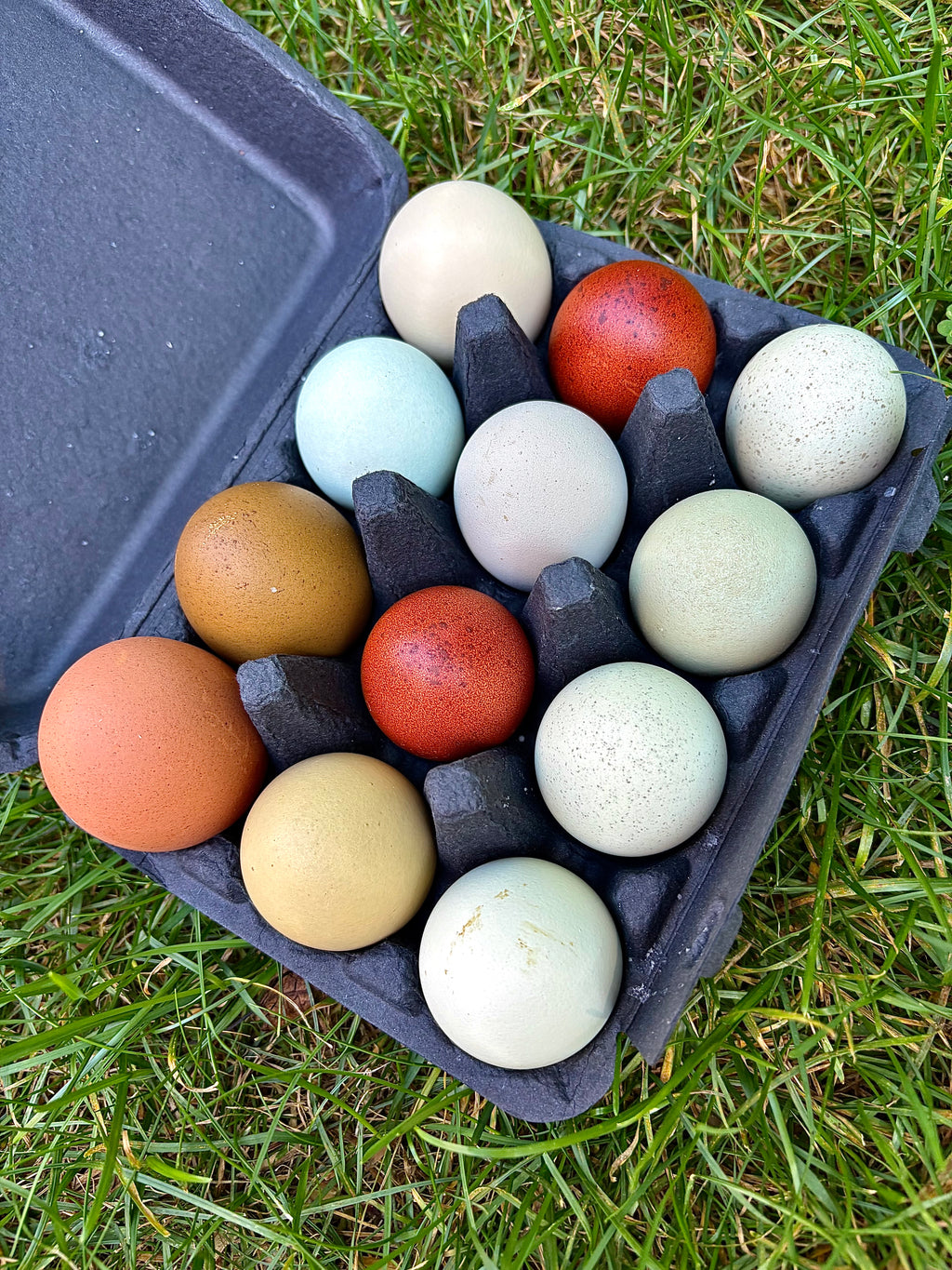 Colorful hatching eggs in an egg carton on grass