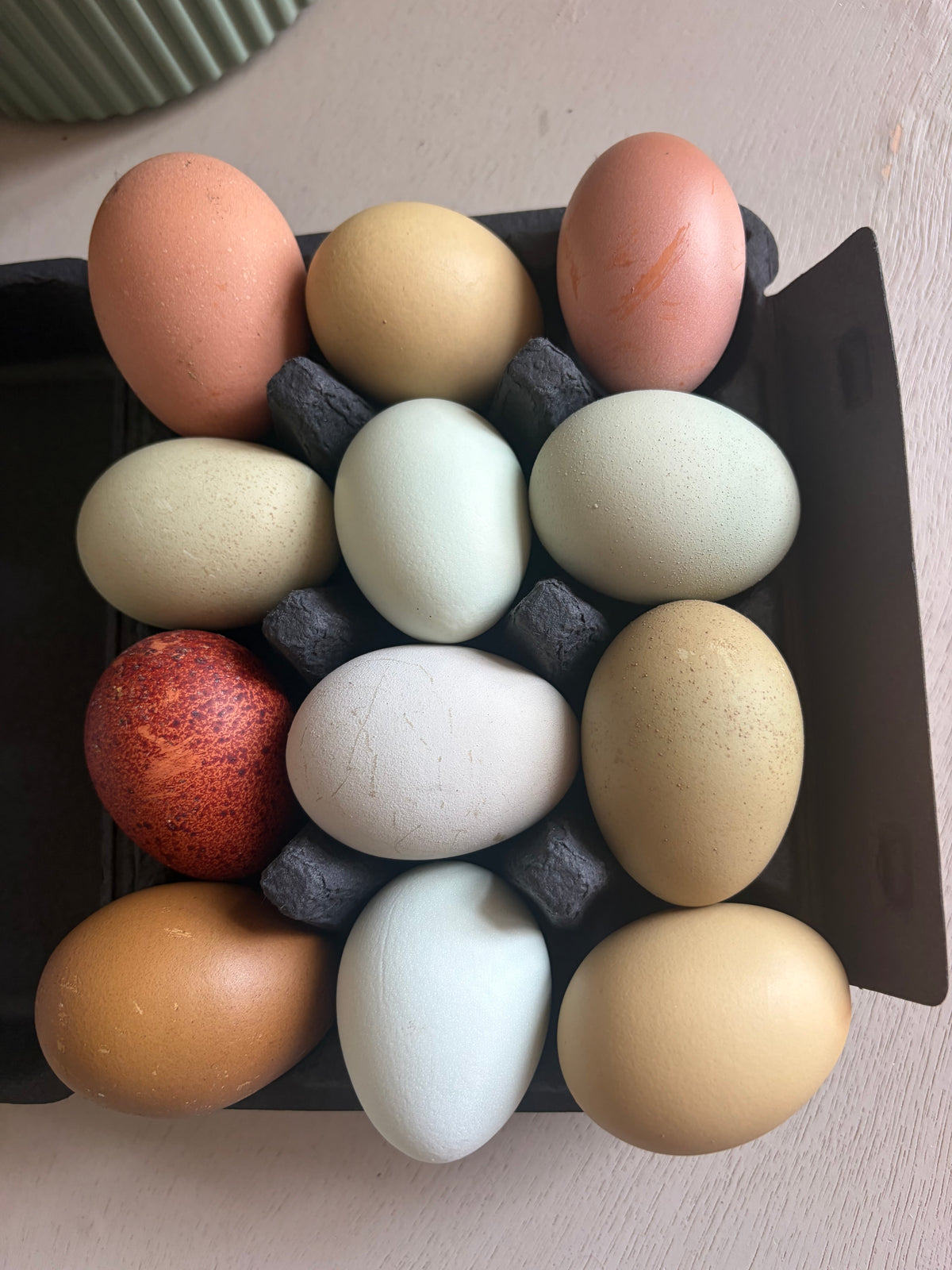 Rainbow Hatching Eggs | Colorful Egg Layers, Heavy Bloom & Speckles