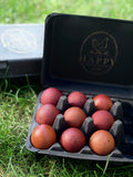 Black Copper Marans Hatching Eggs | Dark Chocolate Egg Layers