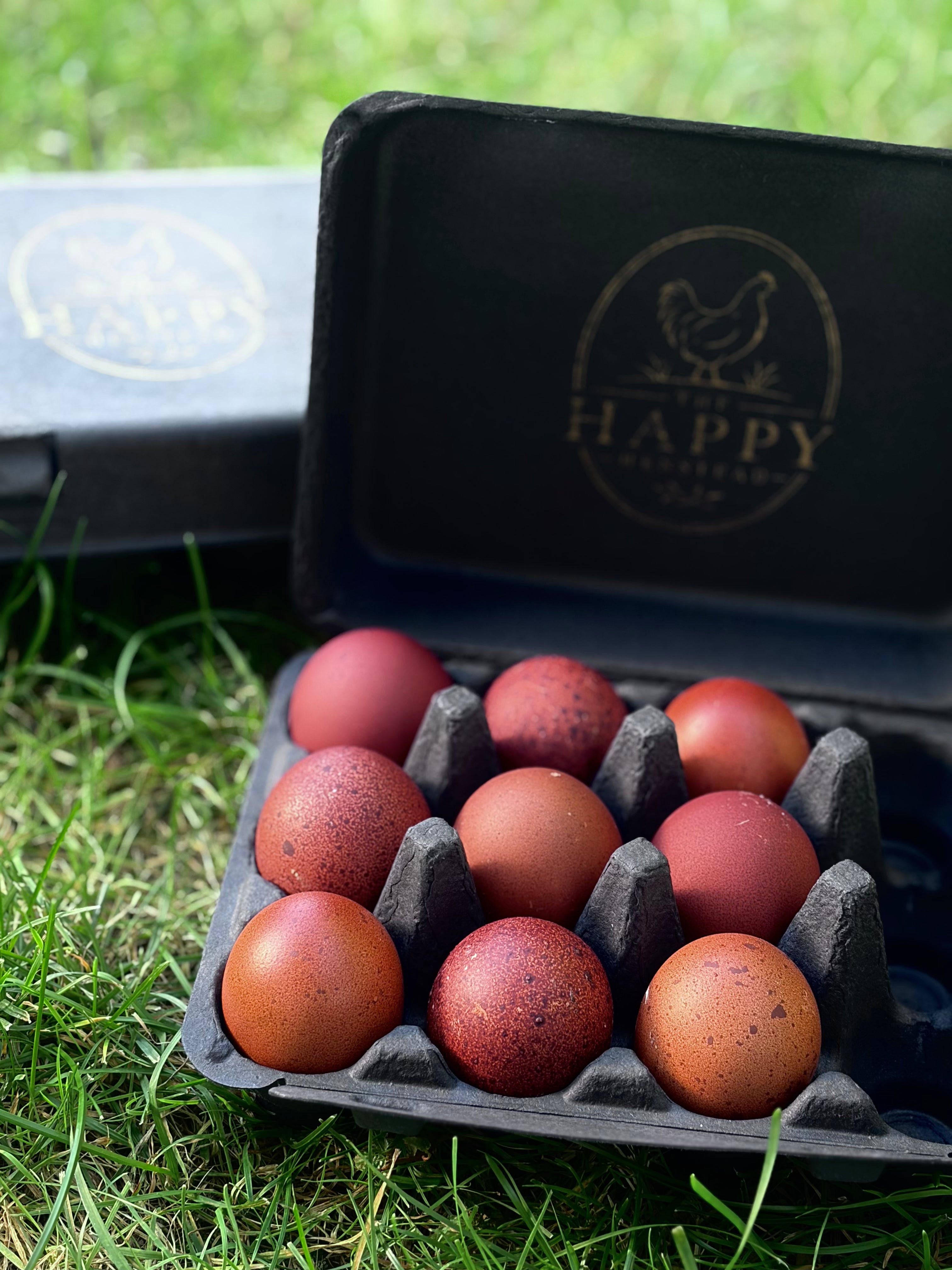 Black Copper Marans Hatching Eggs | Dark Chocolate Egg Layers