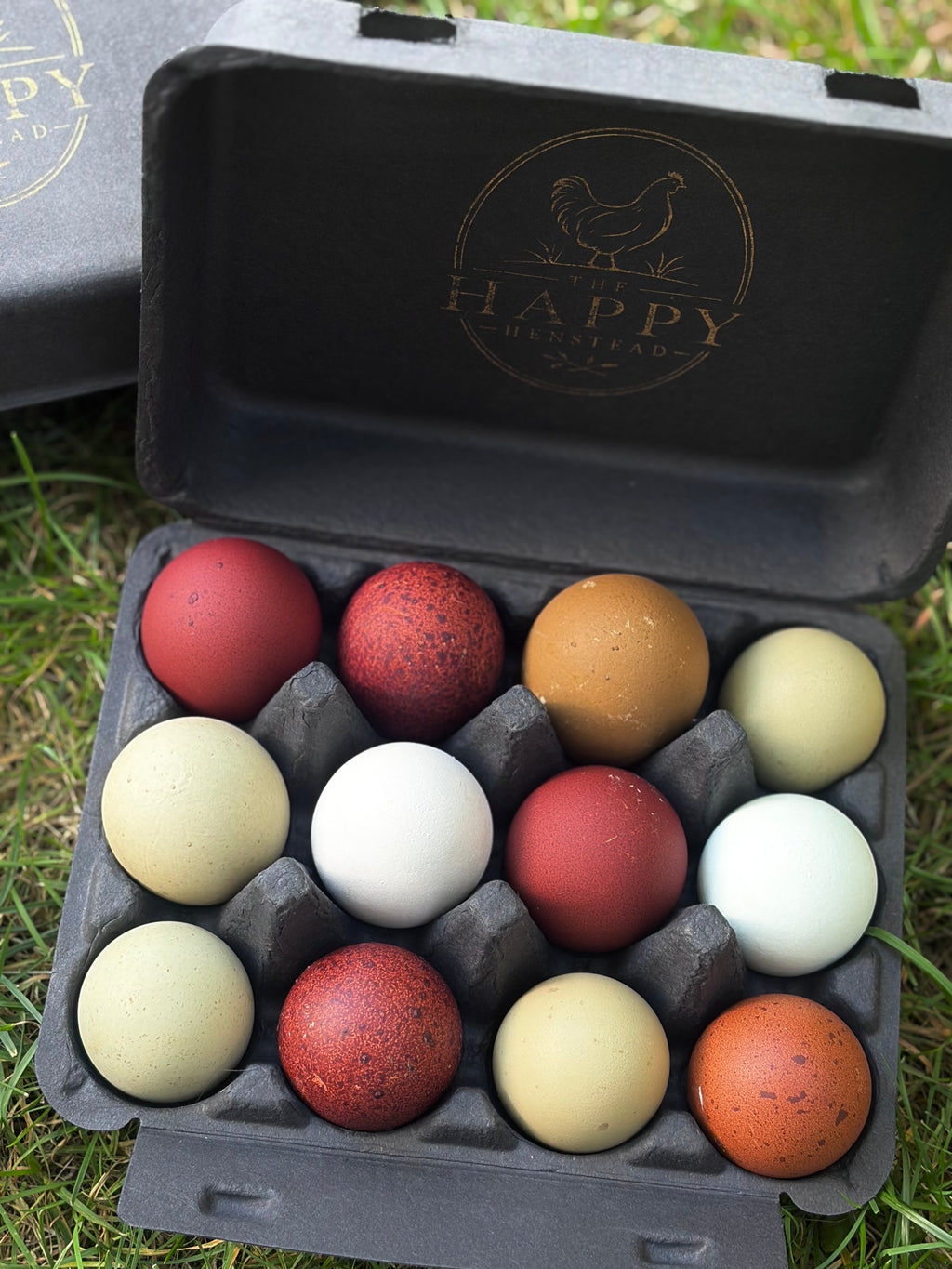 Rainbow Hatching Eggs | Colorful Egg Layers, Heavy Bloom & Speckles