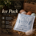 Ice Pack