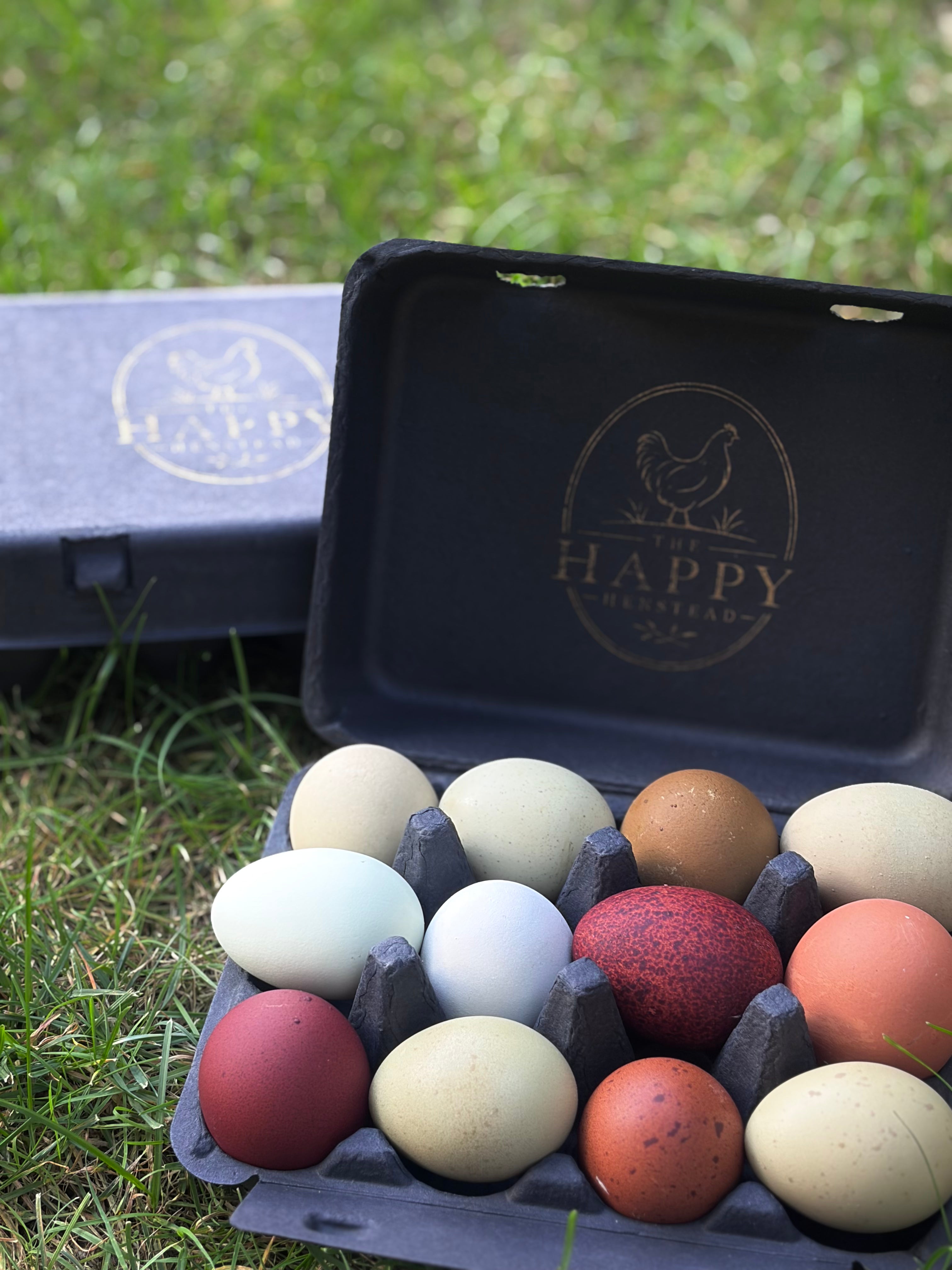 Create Your Own Dozen Hatching Eggs | Mix & Match Breeds